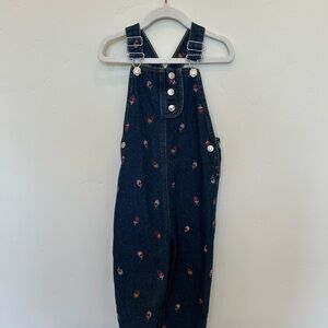 Zara Kids Blue Floral Overalls